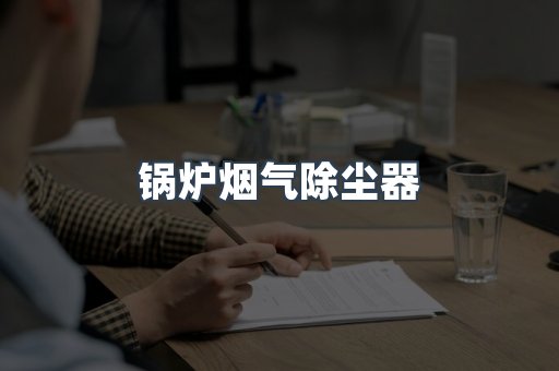 锅炉烟气除尘器