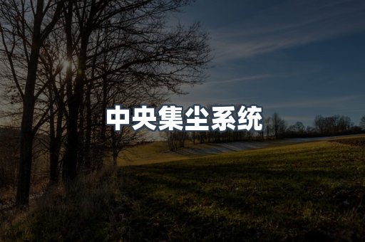 中央集尘系统